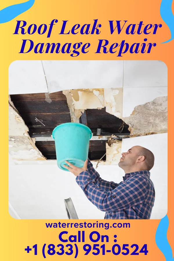Roof Leak Water Damage Repair in East Palo Alto, CA